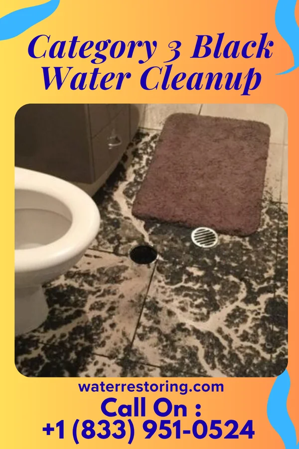 Category 3 Black Water Cleanup in Cape Meares, OR
