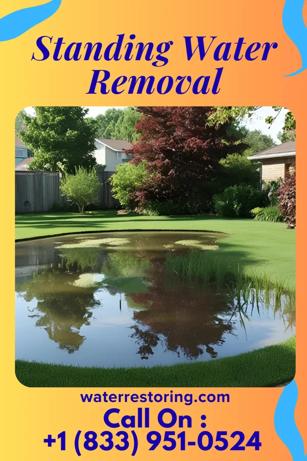 Standing Water Removal in Cape Meares, OR